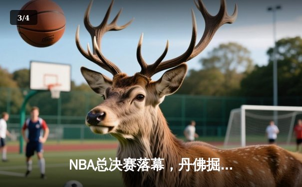 NBA总决赛落幕，丹佛掘金首夺总冠军 - 3